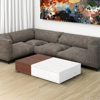 Modern walnut coffee table                                                                  with two storage spaces